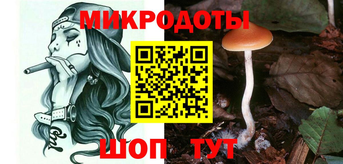 Псилоцибиновые грибы Psilocybe Острогожск